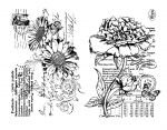 Silikonstempel Gerbera & Pfingstrose